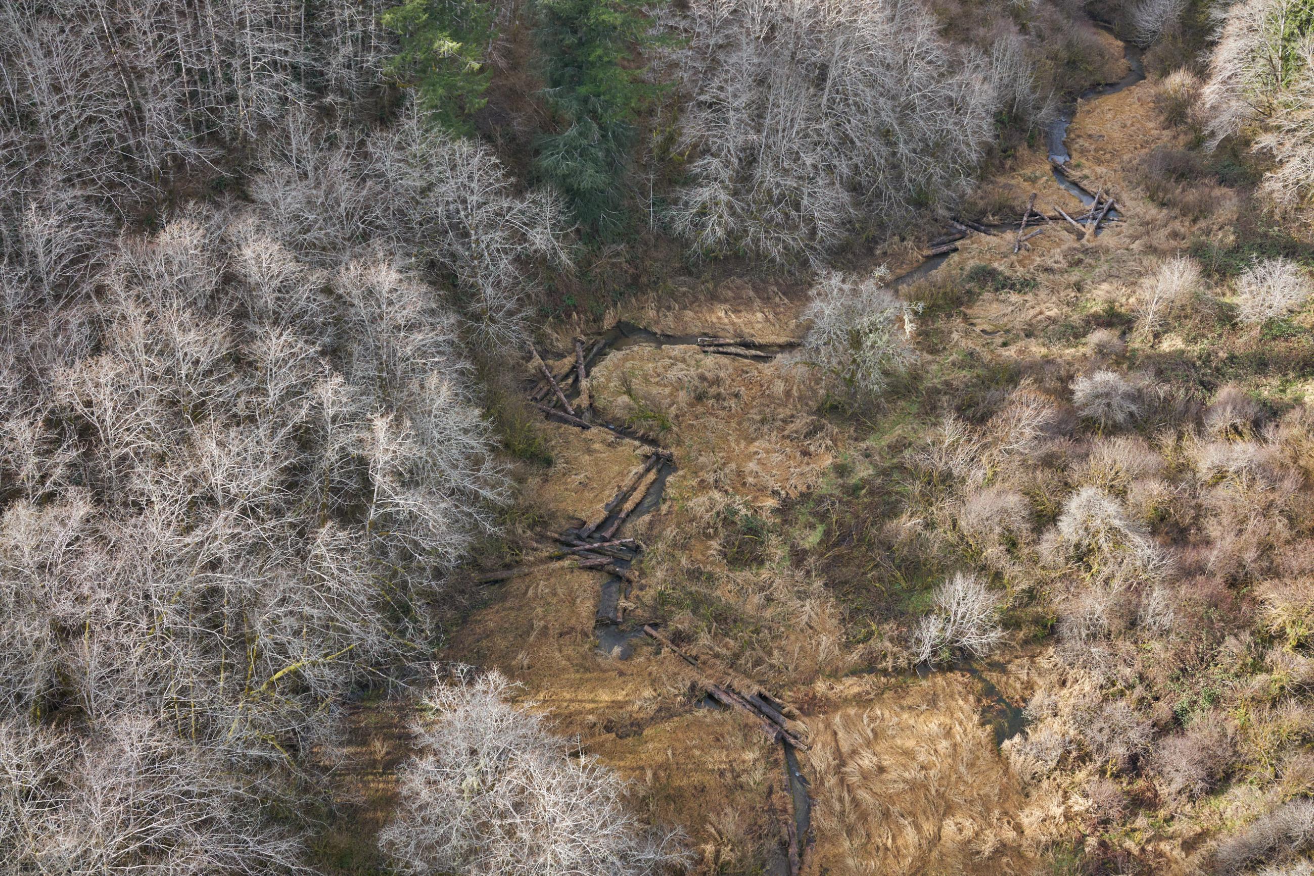 Restoration - aerial view of creek