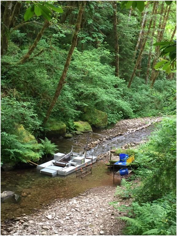 Restoration - Lobster Creek