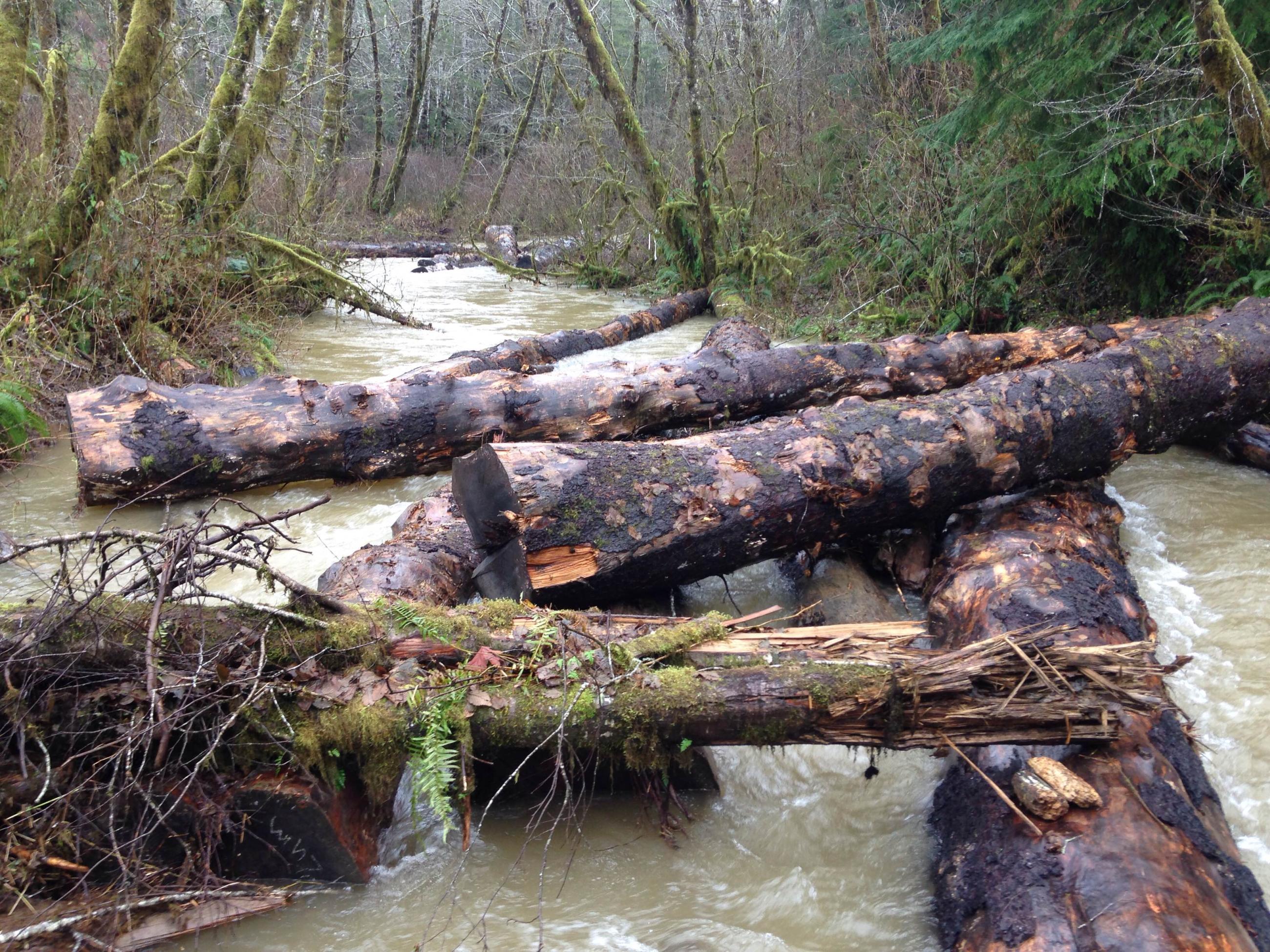 Restoration - Mill Creek