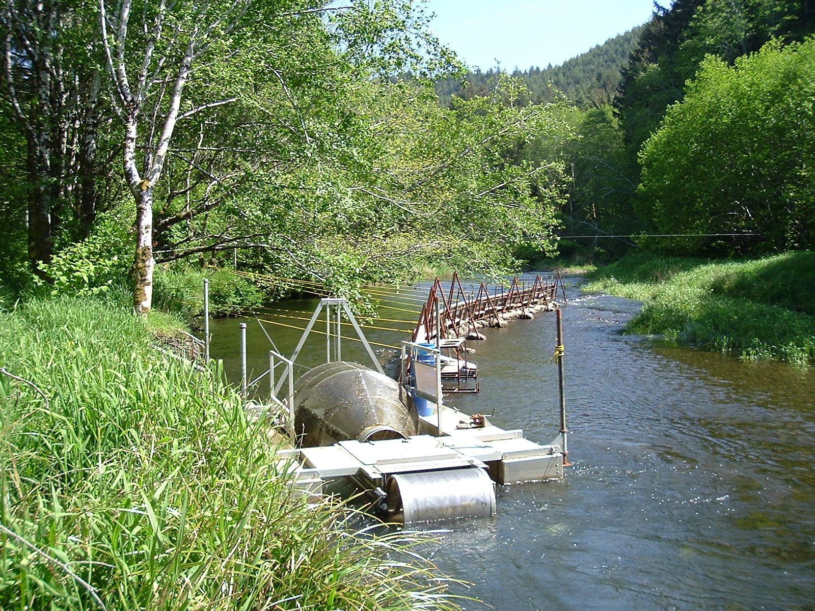 LCM fish in/fish out monitoring, Tenmile 2004