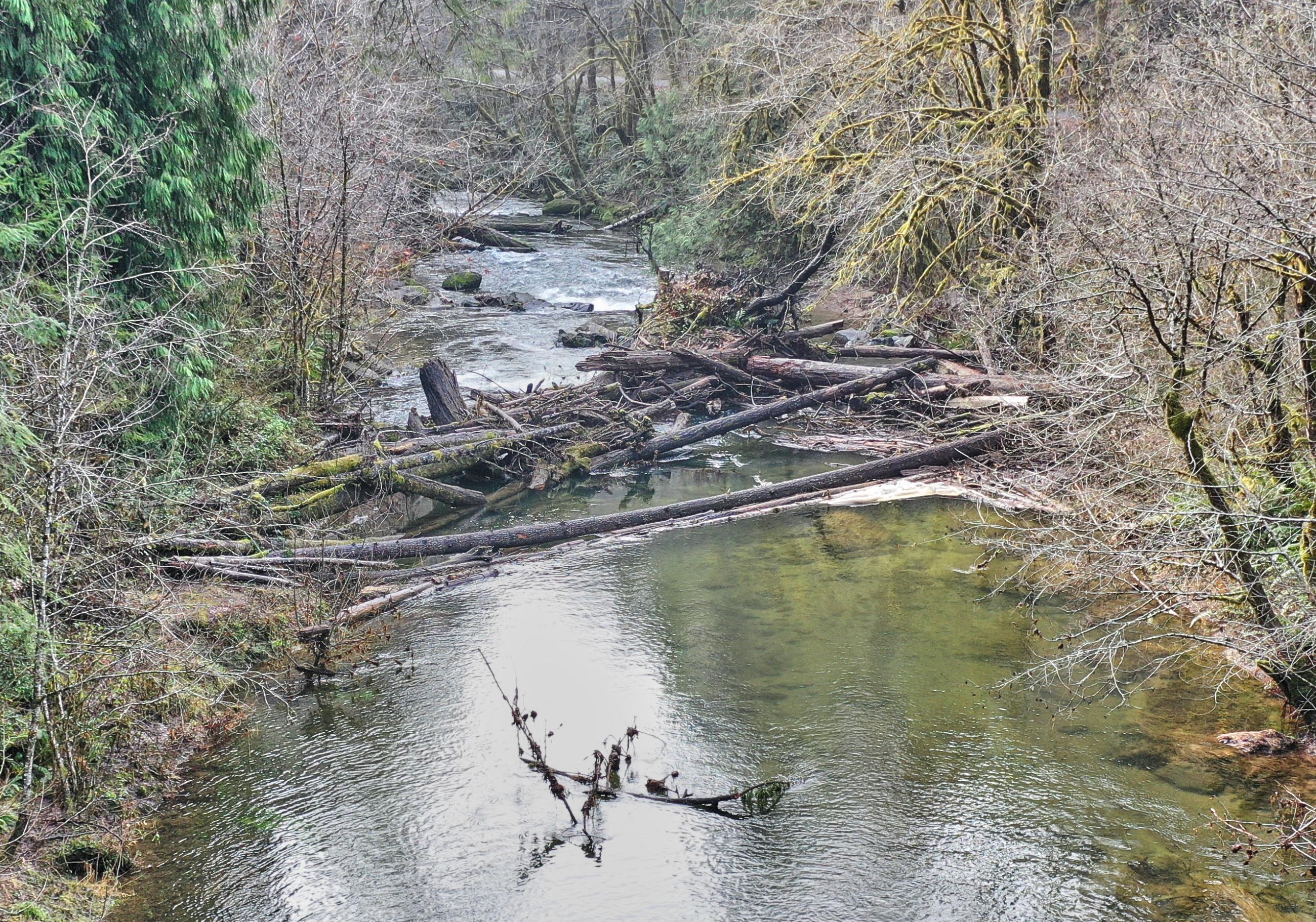 Restoration - West Fork Smith River